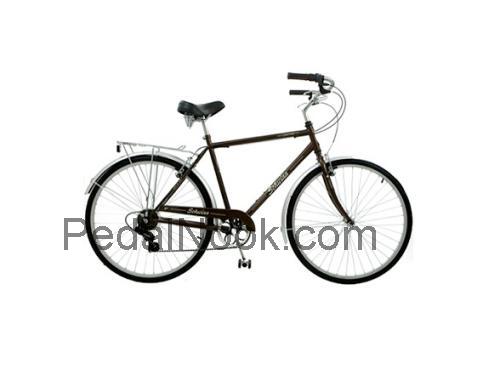 Schwinn Gateway fiche technique et avis